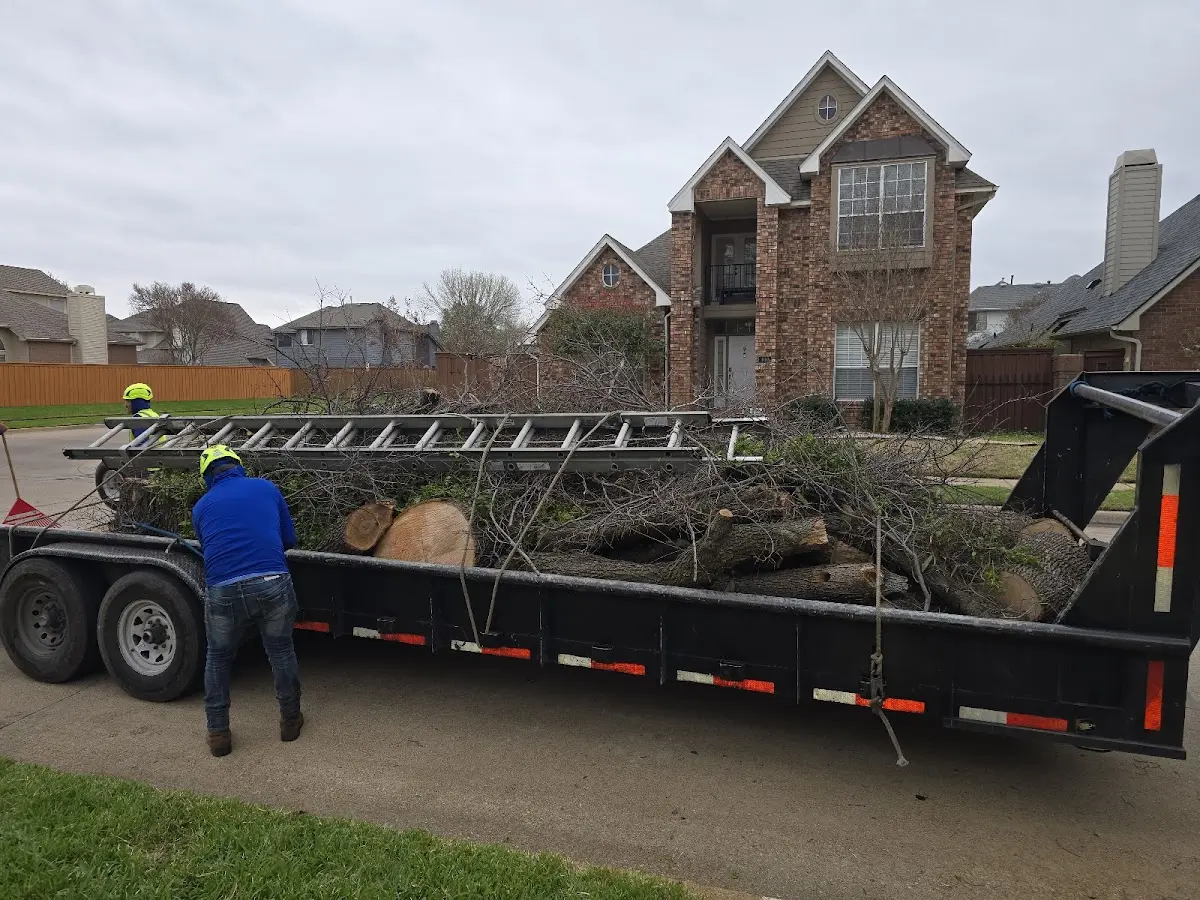 Expert Tree Fertilization with proper safety equipment in Archbald